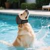 2 PCS Dog Swim Caps Adjustable Ear Protectors view 2