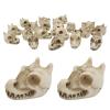 Decorative Resin Vase Stones, 20-Piece Set view 1