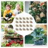 Decorative Resin Vase Stones, 20-Piece Set view 4