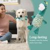 Interactive Plush Dinosaur Dog Toy view 2