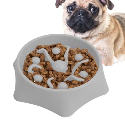 Slow Feeder Dog Bowl - Maze Interactive