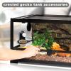 Gecko Food Bowl & Reptile Water Dish view 3