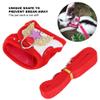 Qcwwy Small Pet Leash Harness view 4