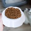Pet Cooling Bowl – Cooling Water and Feeding Bowl view 3
