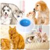 Pet Cooling Bowl – Cooling Water and Feeding Bowl view 4