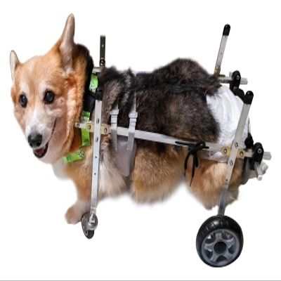 Generic Wheelchair for Small Dogs’ Hind Legs, Adjustable Metal Rehabilitation Cart, Size M