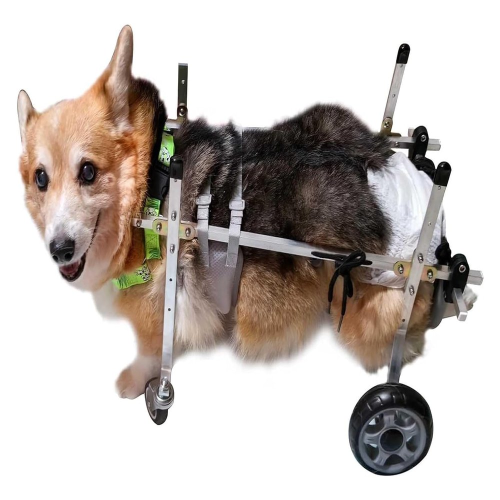 Generic Wheelchair for Small Dogs’ Hind Legs, Adjustable Metal Rehabilitation Cart, Size M