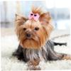 UPKOCH Dog Hair Clips with Bow Glasses Design, 10-Piece Polyester Set view 3