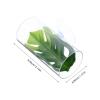 JOINPAYA Acrylic Aquarium Betta Fish and Shrimp Tunnel view 2