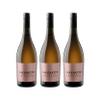 Sacchetto Rosato IGT Dry Frizzante Rosé Wine, Italy, with FeinWert eBook (3 x 0.75 L) view 1