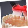 4-Pack Double-Head Plastic Denture Brushes view 3