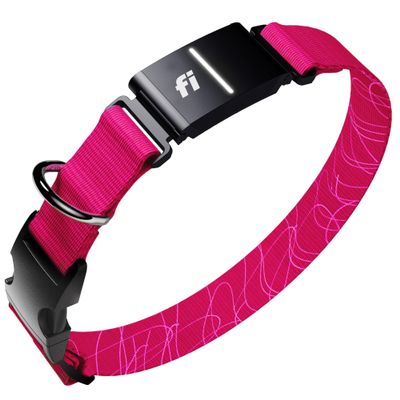 Fi Series 3+ GPS Dog Collar & Tracker, 12-Month Membership Included