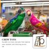 Abaodam Chewable Parrot Perch for Tabletop Use view 2