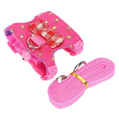 Qcwwy Cute Ferret - Squirrel - Pet Leash and Harness