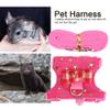 Qcwwy Cute Ferret - Squirrel - Pet Leash and Harness view 3