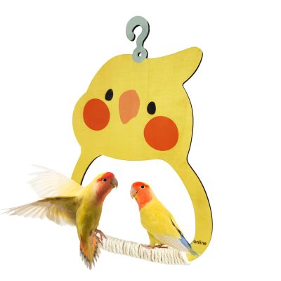 Bird Swing Toy for Budgie Cages