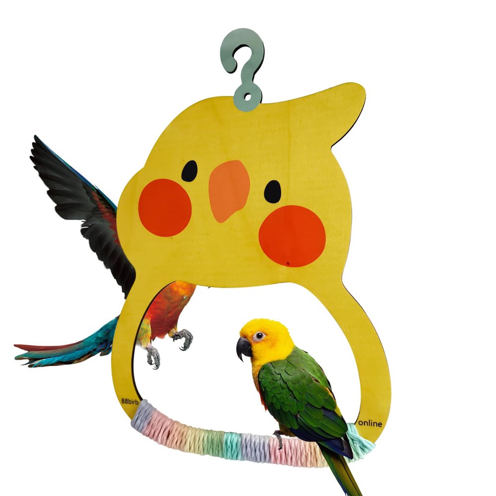 Bird Swing Toy for Budgerigar and Parrot Cages