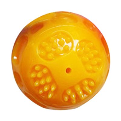 Genrico Dog Ball