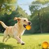 Mbiyhgta Dog Toy Ball, 5 cm, Chew and Squeaky Toy view 2