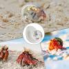 Wisylizv Hermit Crab House - Handcrafted Glass Shells view 3