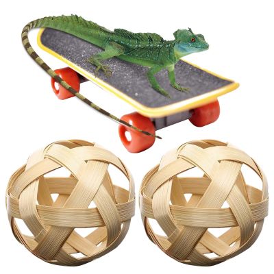 Turtle Feeding Ball – Fruit Holder, Feeder Ball, Feeding Toy