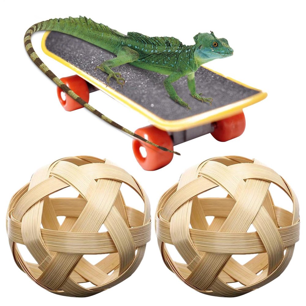 Turtle Feeding Ball – Fruit Holder, Feeder Ball, Feeding Toy