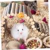 Hamster Ladder for Climbing and Swinging, 7 x 55 cm view 3