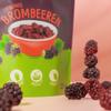 NutriPur Freeze-Dried Blackberries, 100 g view 4