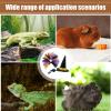 Generic Gecko Costume | Lizard Witch Outfit for Pets view 4