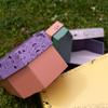 FOLDZILLA Cardboard Pet Casket for Dogs, Cats & Small Animals, 36 x 19 x 11 cm, Apricot-Lilac view 4