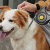 Retractable Dog Leash for Strong Dogs view 2