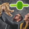Self-Grooming Cat Brush for Furniture, Silicone, Self-Cleaning view 3