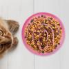 Slow Feeder Cat Bowl view 3