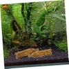 Aquarium Spawning Mop, 5-Piece Set, Wool Yarn for Fish Breeding view 3