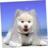 Toyvian Pet Bridal Veil Crown in Soft Tulle for Dogs and Cats view 4
