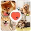 Soothing Heartbeat Toy for Puppies view 4