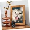 Toyvian Pet Cremation Urn for Dogs and Cats, Durable Memorial Keepsake view 3