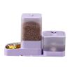 Automatic Feeder with Large Stainless Steel Food and Water Bowl view 1