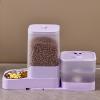 Automatic Feeder with Large Stainless Steel Food and Water Bowl view 3