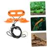 ibasenice Adjustable Reptile Harness with Leather Leash view 4