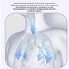 Portable Adjustable Breathing Exercise Device view 4