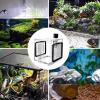 Acrylic Aquarium Breeding Box for Isolation and Acclimation view 4