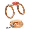 Cartoon Carrot Cat Leash and Harness Set, Orange, S view 1