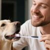 Puppy and Cat Toothbrush with Soft Bristles view 3