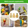 Washable Breathable Bird Diapers for Macaws and Canaries view 4