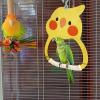 Bird Swing for Budgie Cage view 2