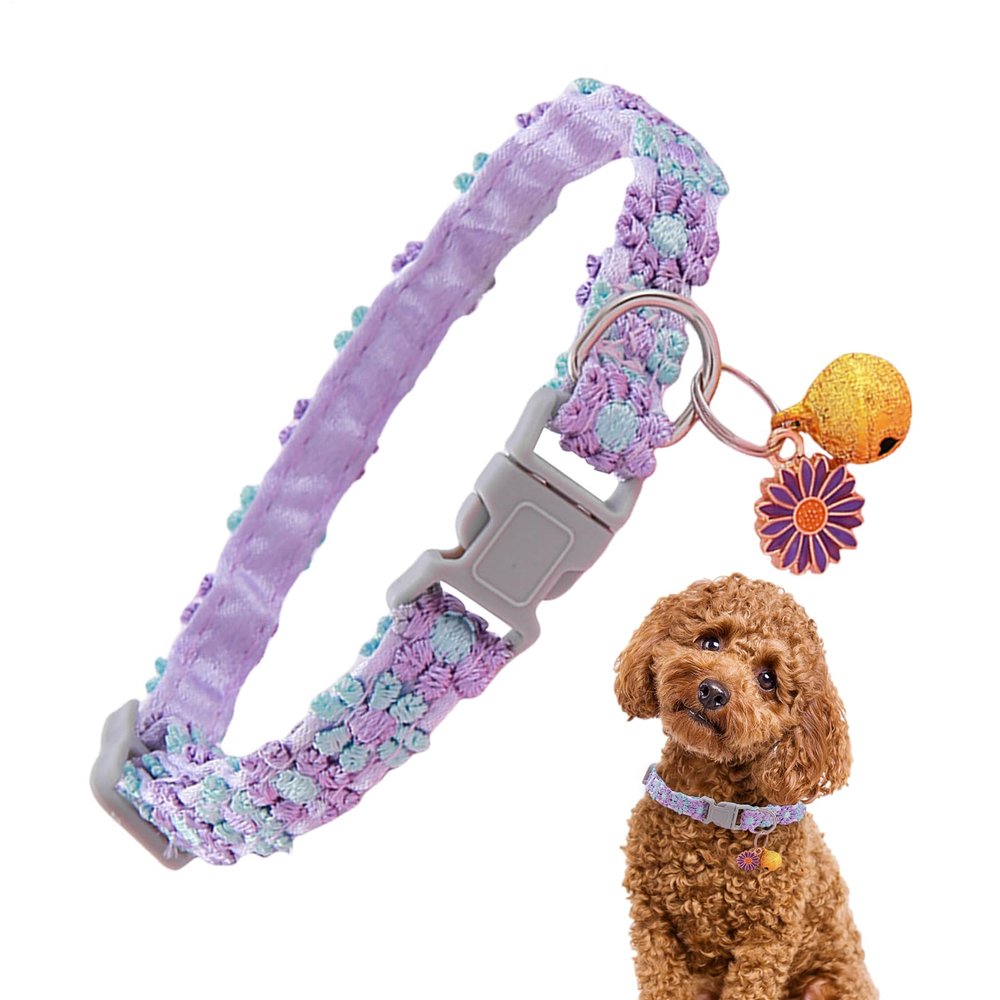 Kitten Collar with Bell and Charm Pendant