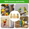 3-Pack Bird Diapers - Parrot Diaper Clothing view 4
