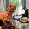 Reptile Feeding and Water Bowl view 3
