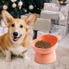 Elevated Cat Bowl - Slanted Raised Dog Bowl view 4